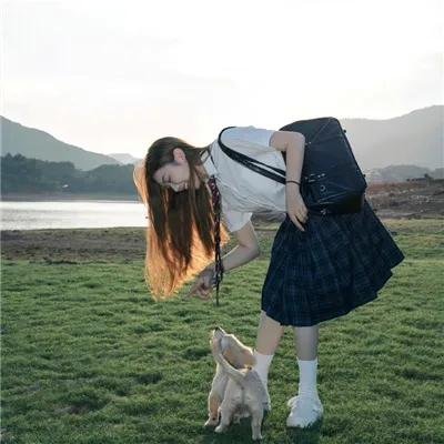老虎连